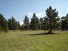 Lot 10, Black Lake, Angel Fire, New Mexico